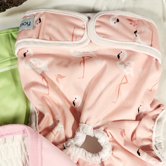 🐾 Teamoy:: Female Dog Wraps - Picture 7 of 12